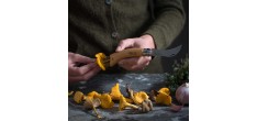 Couteau à Champignons N°08