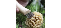 Couteau à Champignons N°08