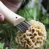 Voir la slide Couteau à Champignons N°08