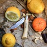 Zie dia Zakmes Tradition N°07 RVS