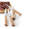 Zie dia Steak Messenset 4 dlg