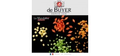 Revolution Mandoline de Cuisine Inox Lame Droite, Julienne 2, 4 et 10
