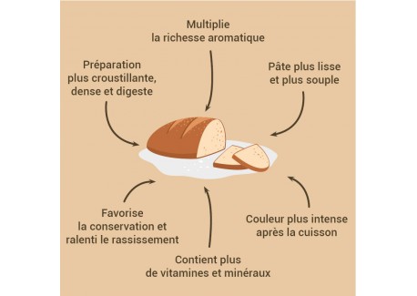 Levain de Seigle 150 g