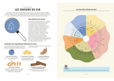 Le Gin c'est pas Sorcier