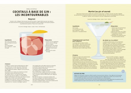 Le Gin c'est pas Sorcier