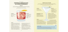 Le Gin c'est pas Sorcier