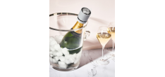 Line Champagne Stopper Aluminium