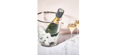 Line Bouchon pour Champagne Carbone