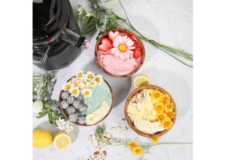 Kit Smoothies et Sorbet pour REVO830