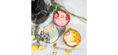 Kit Smoothies & Sorbet voor REVO830
