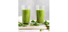 Kit Smoothies et Sorbet pour REVO830
