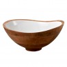 Zie dia Slakom Mangohout en Wit Hars  29 x28 x12 cm