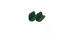 Incroyable Antikleef Braadpan 28 cm Groen Varen 7 l