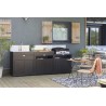 Zie dia Outdoor keuken Meubel 3 modulaire Elementen RVS en Zwart