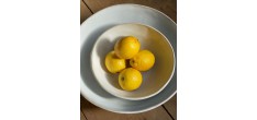Organic Diep Bord Witte 23,5 cm