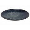 Zie dia Atlantis Stripe Azuurblauwe Ombré Bord Plat Bord 27,5 cm