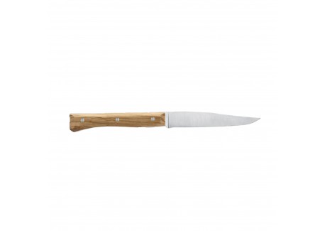 Coffret Couteaux de Table "Facette" Olivier 4 pcs
