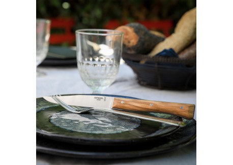 Coffret Couteaux de Table "Facette" Olivier 4 pcs