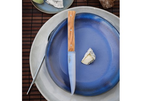 Coffret Couteaux de Table "Facette" Olivier 4 pcs