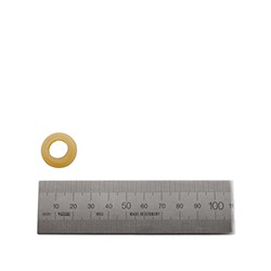 OS023 Joint du Tambour pour Extracteur de Jus Jazz Max Horizontal Mult