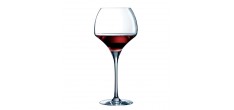 Open Up Tannic Verre à Vin 6 pcs