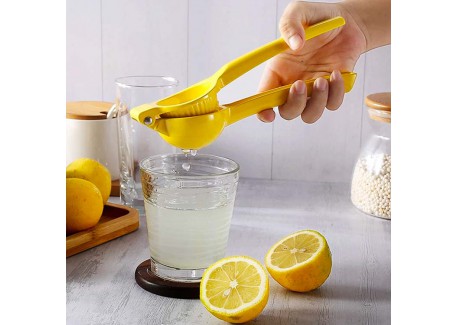 Presse Citron Métal