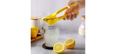 Presse Citron Métal