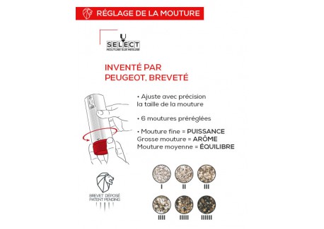 Line Electrique Moulin à Poivre 15 cm Carbone
