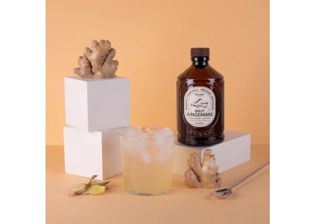 Biologische Rauwe Gembersiroop 400 ml