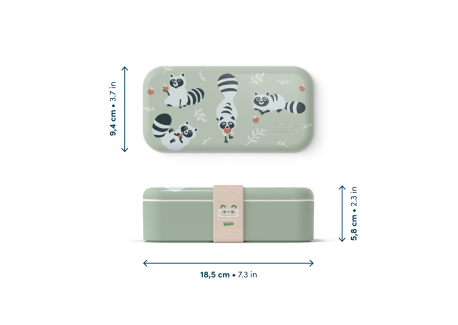 Foodie Bento LunchBox Kids Vert Raccoon 500 ml