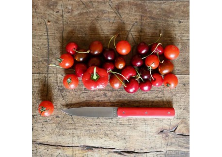 9.47 Coffret Couteaux de Table Rouge 2 pcs