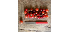 9.47 Tafelmessenset Rood 2 dlg