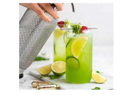 Recharges Gaz pour Siphon Soda 10 pcs