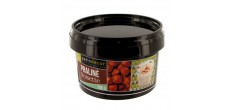 Praliné Noisette 200 g