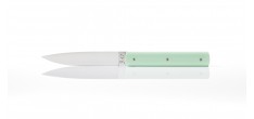 9.47 Tafelmessenset Pistache Groen 2 dlg