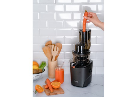 Verticale Slowjuicer  REVO830 Zwart