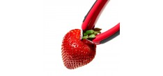 Equeuteur à Fraise