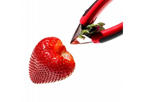 Aardbei Ontkroner