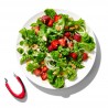 Voir la slide Equeuteur à Fraise