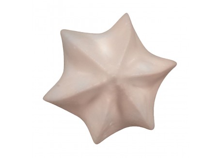 Douille Pâtisserie Etoile 7 mm C6 Inox
