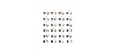 Douille Pâtisserie Etoile 11 mm D7 Inox