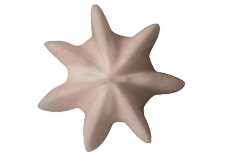 RVS Ster Spuitmondje 6 mm B7