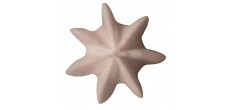 RVS Ster Spuitmondje 6 mm B7