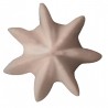 Zie dia RVS Ster Spuitmondje 6 mm B7