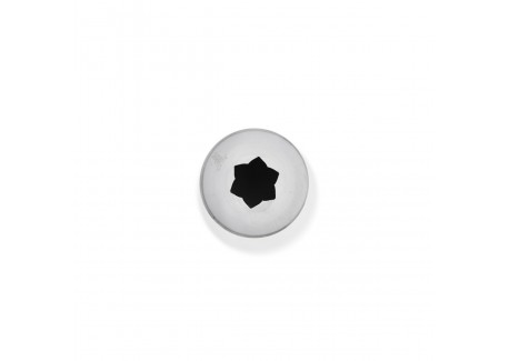 RVS Ster Spuitmondje 13 mm E6