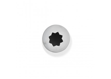 RVS Ster Spuitmondje 18 mm F8