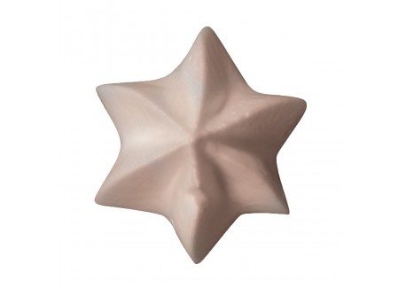 Douille Pâtisserie Etoile 11 mm D6 Inox