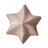 Zie dia RVS Ster Spuitmondje 11 mm D6