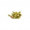 Zie dia Groene Kardemom 30 g