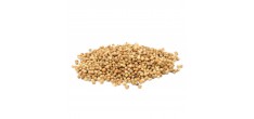 Coriandre en Grains 30 g